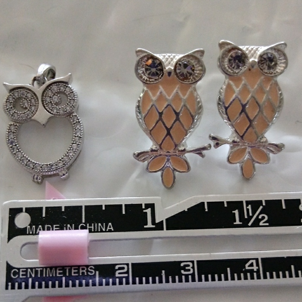 owl charm and earrings